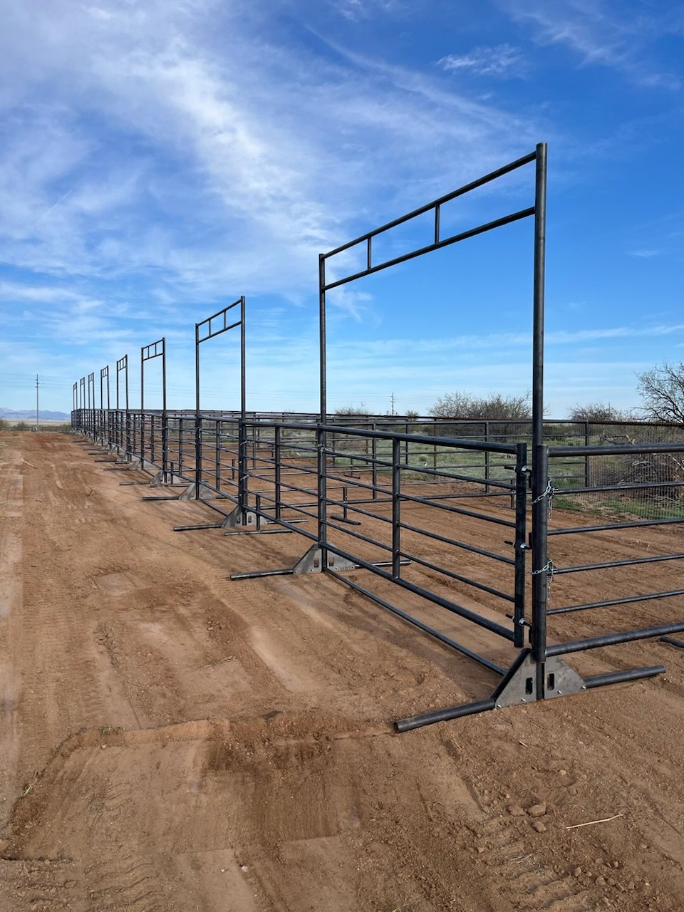 20ft Freestanding Cattle Panel Gate Combo